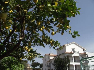 Il Borgo degli Ulivi Resort - 10
