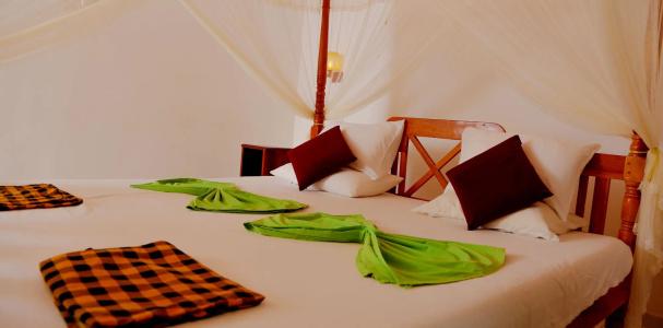 Nature Lanka Ayurveda Resort - All Meals and Ayurveda Treatments with Yoga - 2