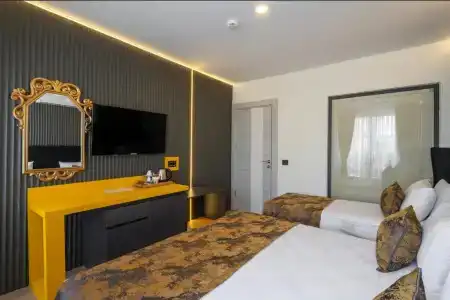 Tema 242 - 62