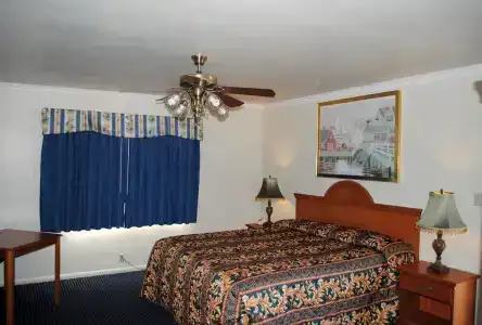 Viking Motel-Ventura - 4
