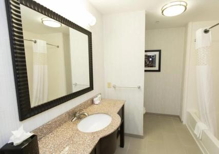 Hampton Inn & Suites Airport - 7