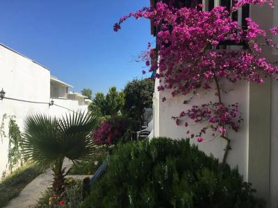Salinas Bodrum - 43