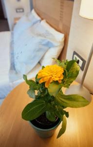 Alexandros Boutique - 174