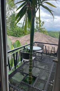 Tanya Baan Bon Doi - 65