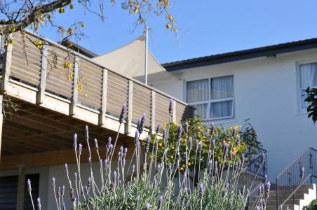 16 Havelock - 5
