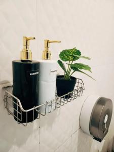 Back Home Backpackers - 27