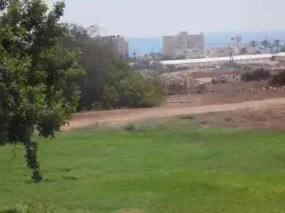 Mandali - 19
