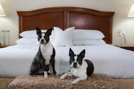 Rogue Regency Inn & Suites - 48