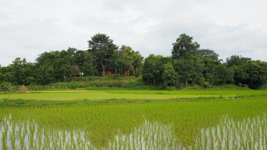 Nan Seasons Boutique Resort - 83