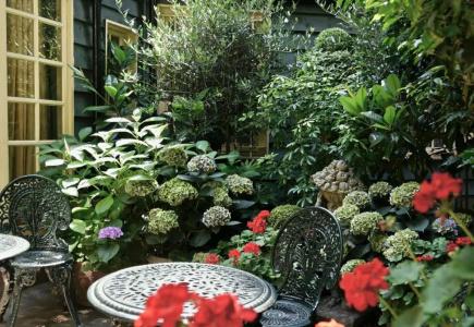 The Rookery - 11