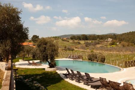 Vinifera Vineyards - 13
