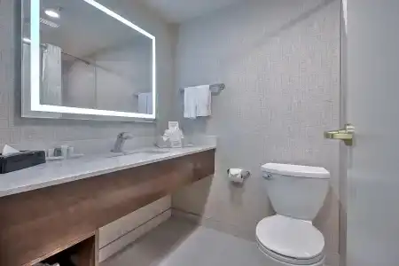 Comfort Inn & Suites South - 7