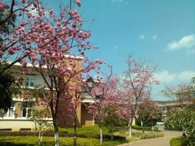 Yuntian Garden - 6