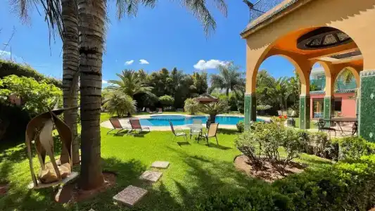 Riad Noumidya - 24