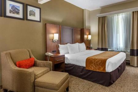 Comfort Suites Walnut Creek - 48