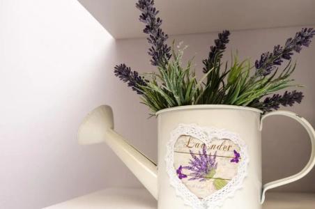 Lavender Garden - 34