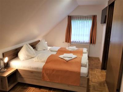 Gasperin Bohinj - 9