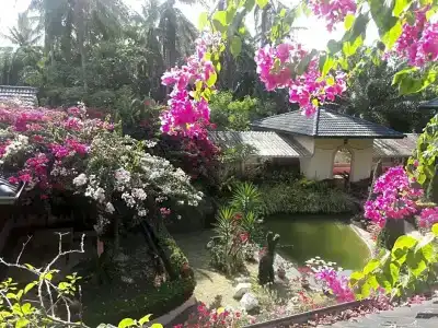 Ekman Garden - 80
