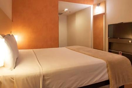 ibis Sao Paulo Barra Funda - 43