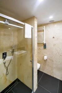 Mercure Jelenia Góra - 88