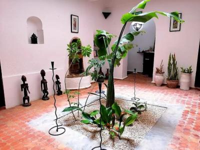 Riad Ocean Medina - 15