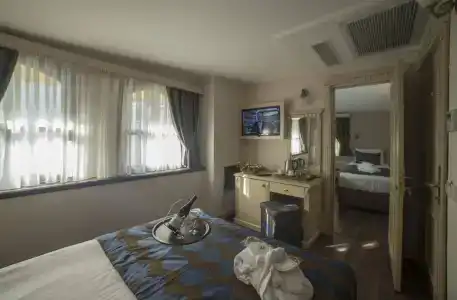 Sarnic & Sarnic Premier(Ottoman Mansion) - 46