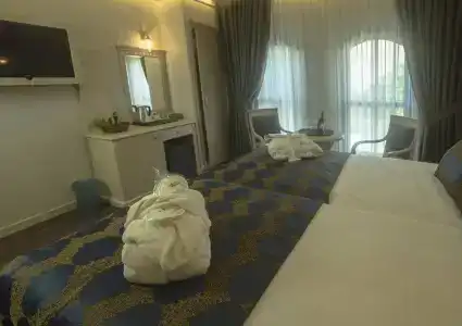 Sarnic & Sarnic Premier(Ottoman Mansion) - 25