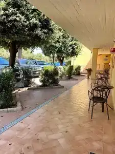 Le Querciolaie dei Ricci - 26