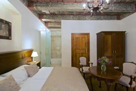Residence U Mecenáše - 251