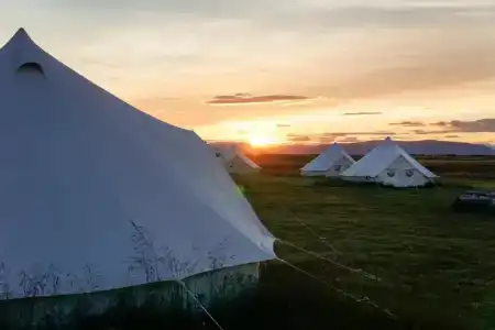 Camp Boutique - 0