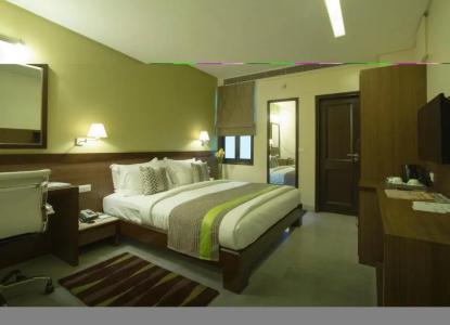 Leisure Inn Grand Chanakya - 25