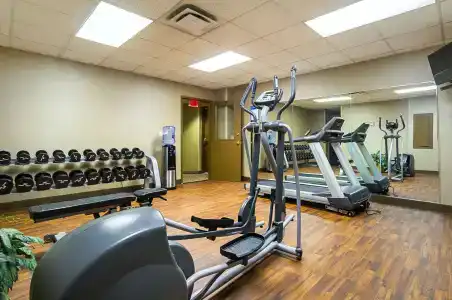 Comfort Inn Downtown - 15