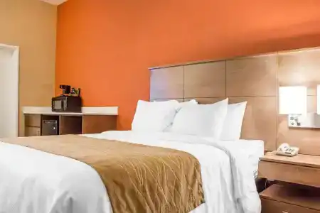 Comfort Inn Lucky Lane - 22