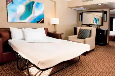 DoubleTree Suites by Hilton Tucson-Williams Center - 76