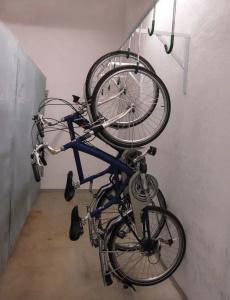 Petul Apart Am Ruhrbogen - 13