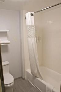 Hampton Inn & Suites Denver-Speer Boulevard - 69