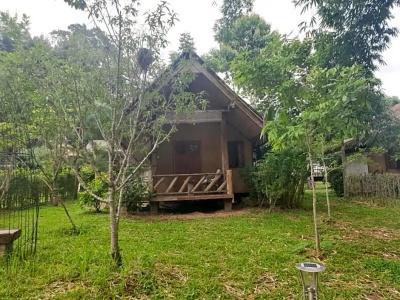 Chiang Dao Hut - 53