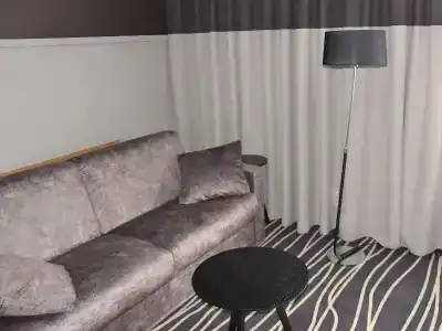 Mercure Colmar Centre Unterlinden - 70