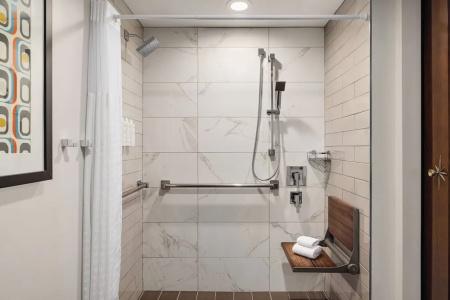 The American Atlanta Downtown-a Doubletree by Hilton - 50