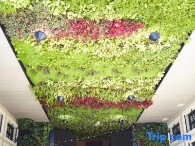 Living am Deutschen Museum - 50