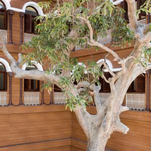 Park Hyatt Zanzibar - 47