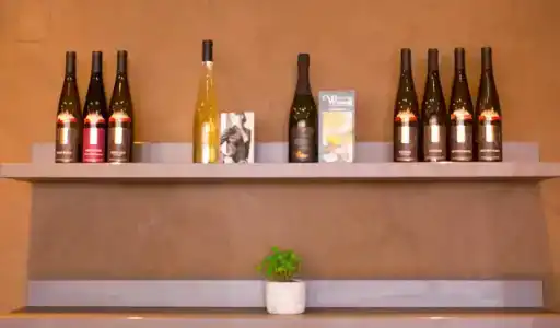 Ibis Colmar Est - Restaurant en Alsace - 29