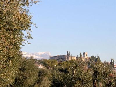 Camping Piantelle - 20