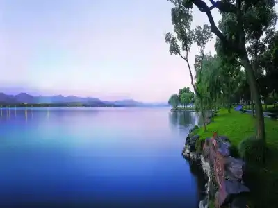 Zhejiang Xizi - 40