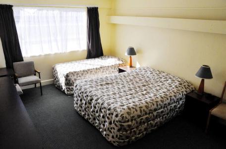 Braemar Motor Inn - 8