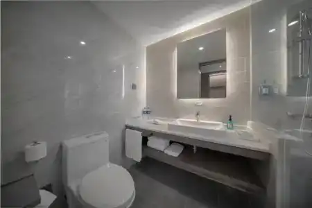 Holiday Inn Express Jinqiao Central, An Ihg - 55