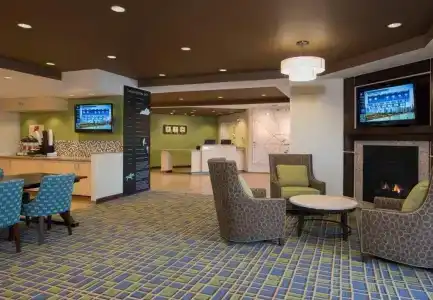 TownePlace Suites by Marriott South/Hamburg Place - 15