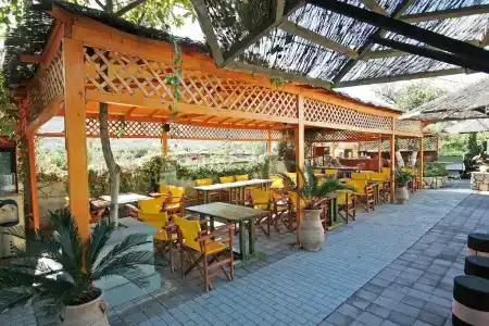 Sunny Garden - 8