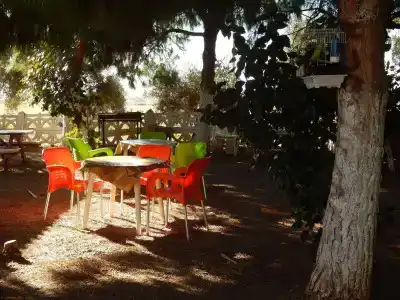 Koru Beach Club - 13