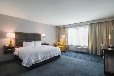 Hampton Inn Chicago North-Loyola Station, Il - 77